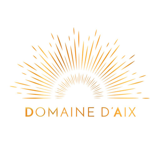 cropped Logo Domaine DAIX
